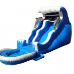 Double Drop Inflatable Water Slides