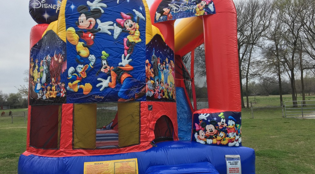 Bounce House Rentals,Themed Party Ideas