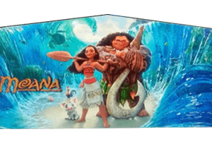 This is a Moana Party Panel