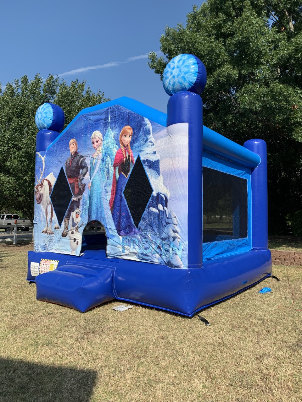 Frozen Bounce House Rental | Frozen Party Jumpers