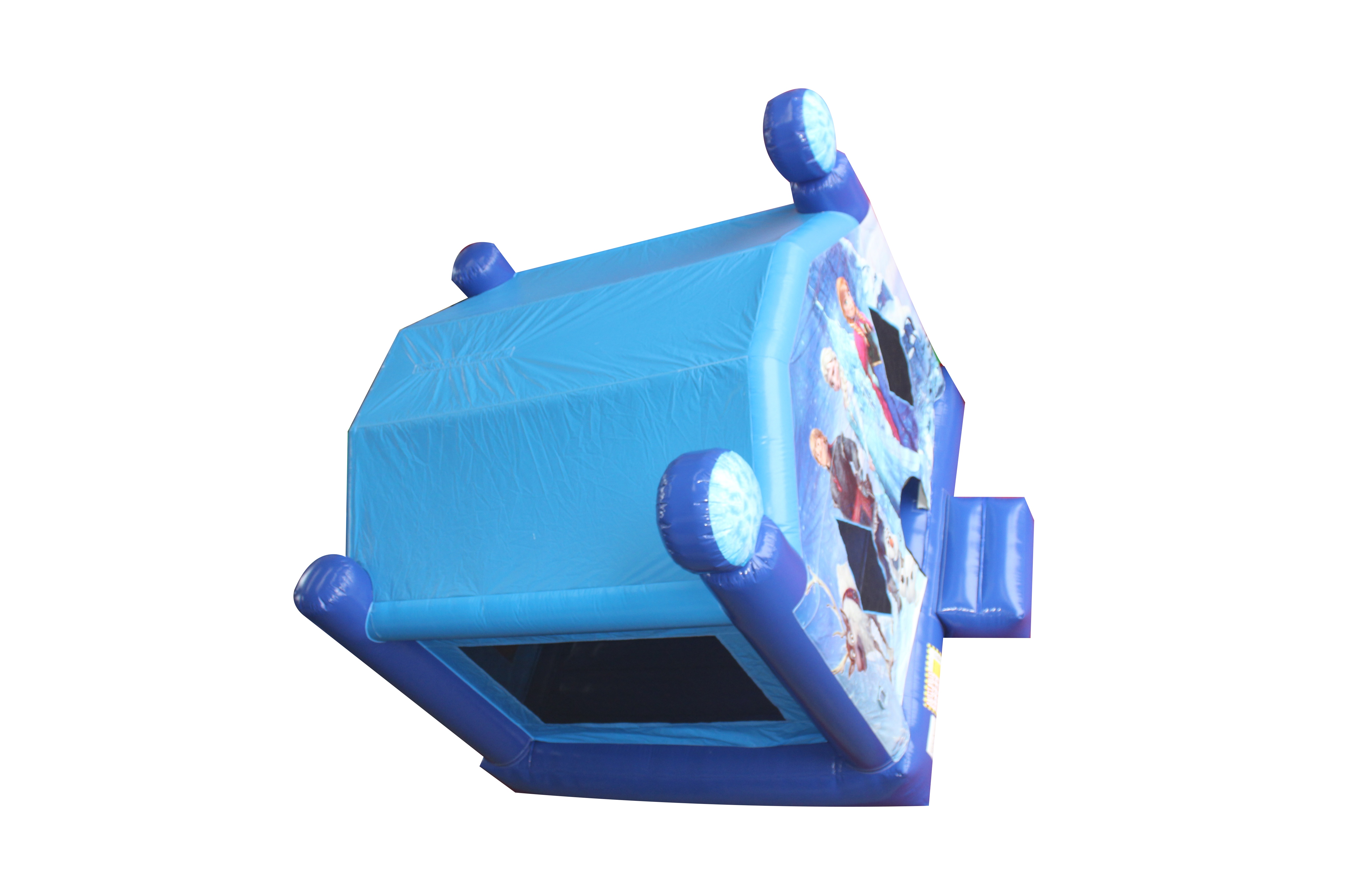 Frozen Bounce House Rental Frozen Party Jumpers