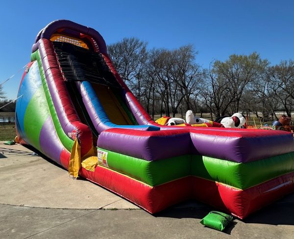 IMG_8040-1-e1773687152484 IMG_8040-1-e1773687152484