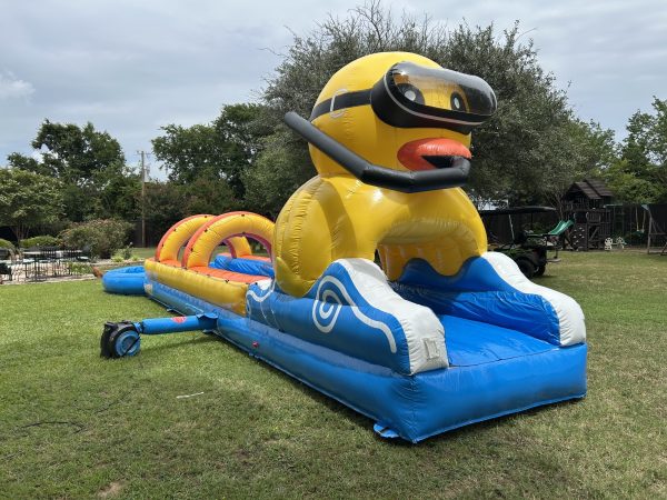 Ducky slipnslide side