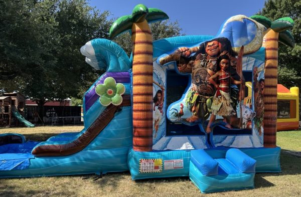 Moana Combo Fronts Moana Combo Fronts